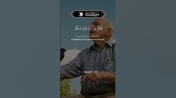 سورة المائدة الآية 95 💬✍️❤️