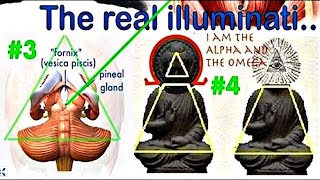 MindBlowing Secrets of the MindBlowing Secrets of the