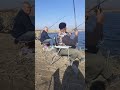 Вобла га хужум