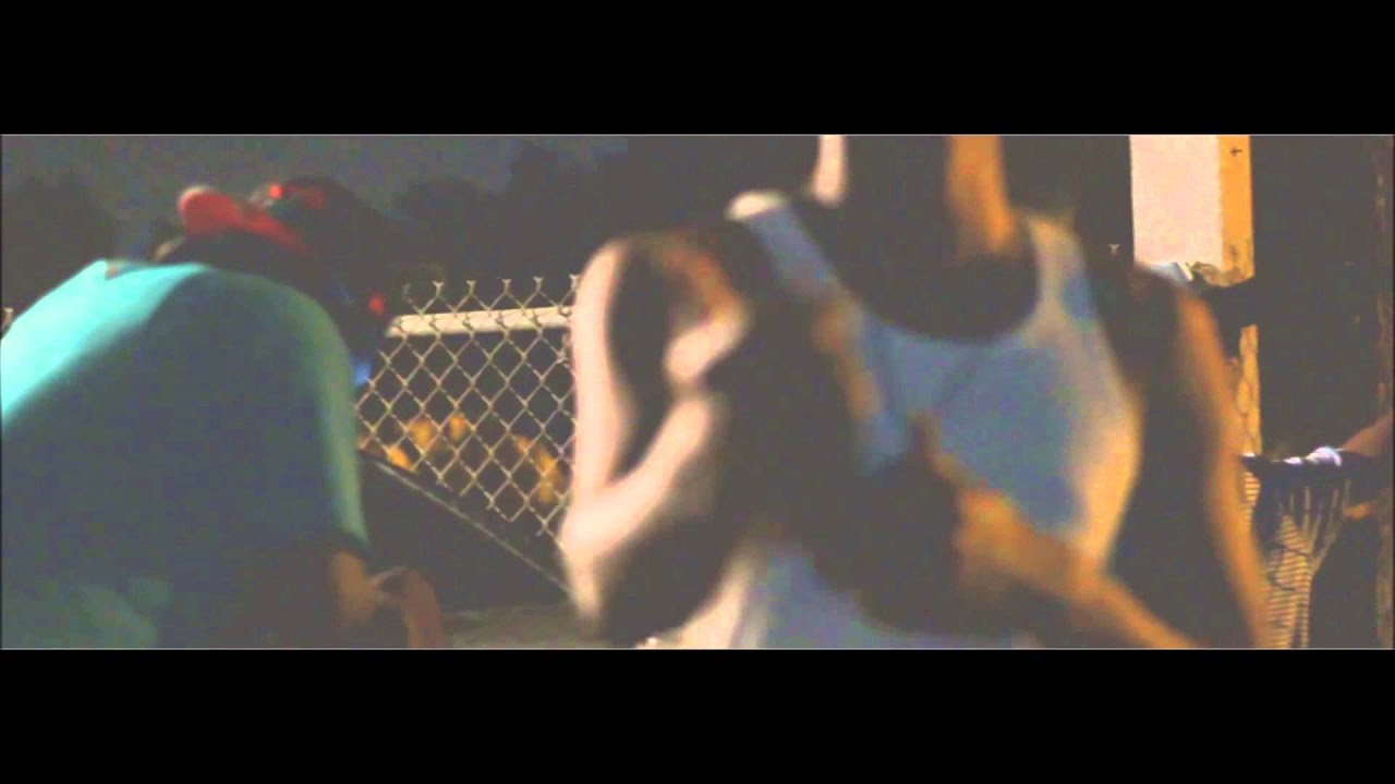 Endangered Species (Video) by P.Wowleone|Shot by D.Cook auf YouTube ansehen Endangered Species (Video) by P.Wowleone|Shot by D.Cook auf YouTube ansehen
