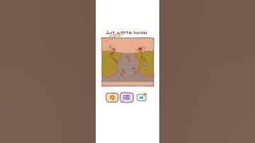 #Shorts : Thief Puzzle Gameplay #WalkthroughThiefpuzzle - Thief Puzzle Level 85 Android Gameplay