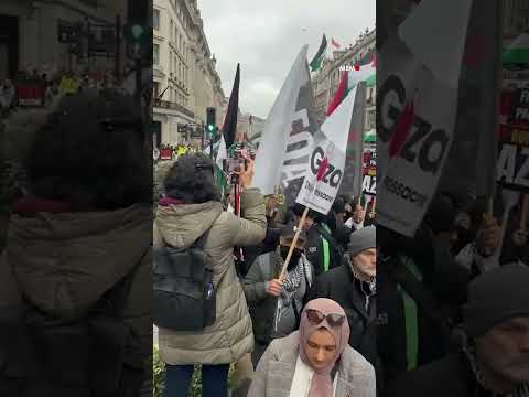 Hundreds of thousands protest in the streets of London for an immediate ceasefire in Gaza