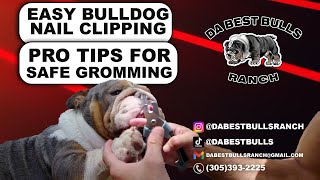 DaBestBulls Dog Nail Clipping, Hygiene, cutting your pups long nails safely, grooming tips by DaBestBulls Ranch 1,189 views 8 months ago 3 minutes, 25 seconds