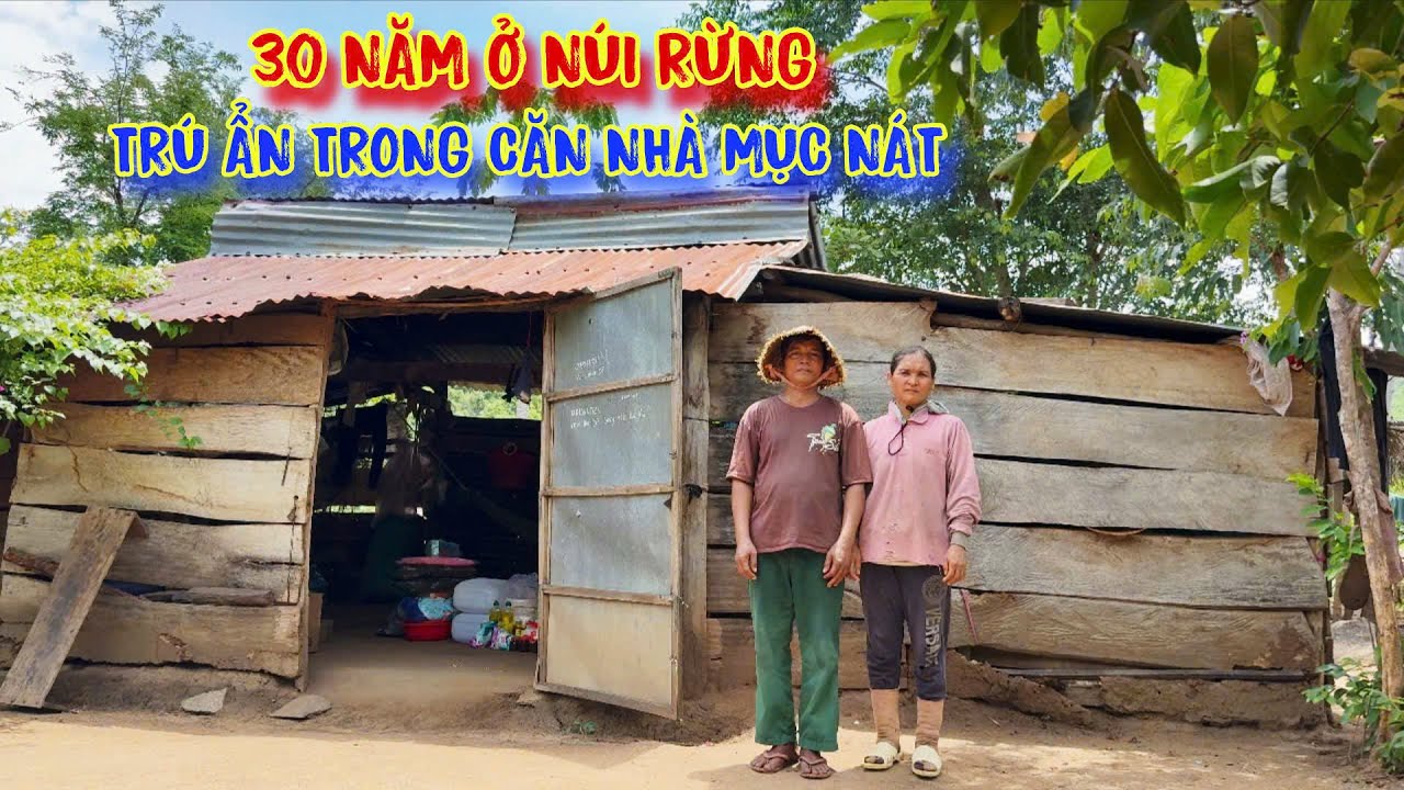 2 VỢ CHỒNG nghèo ở rừng, trong CĂN NHÀ dột nát, ăn LÁ CÂY để sống - tập 1437