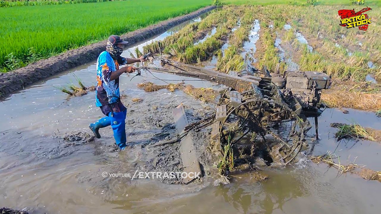 Garap Lahan Bekas Combine Traktor Sawah Langsung Garu