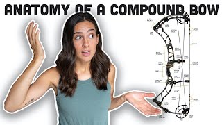 COMPOUND BOW INFO * Things To Know *