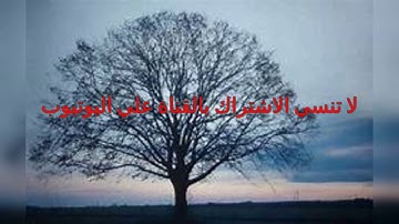 المصحف المرتل للشيخ محمد صديق المنشاوي بنسخة الاذاعة سورة النمل
