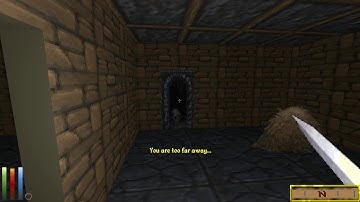 Daggerfall Unity bug with dungeon exit