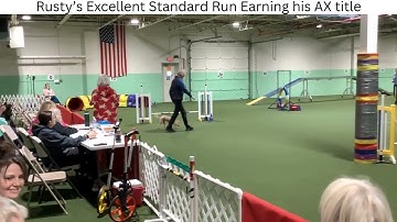 2025 11 23 Rusty earns his Agility Excellent (AX) title