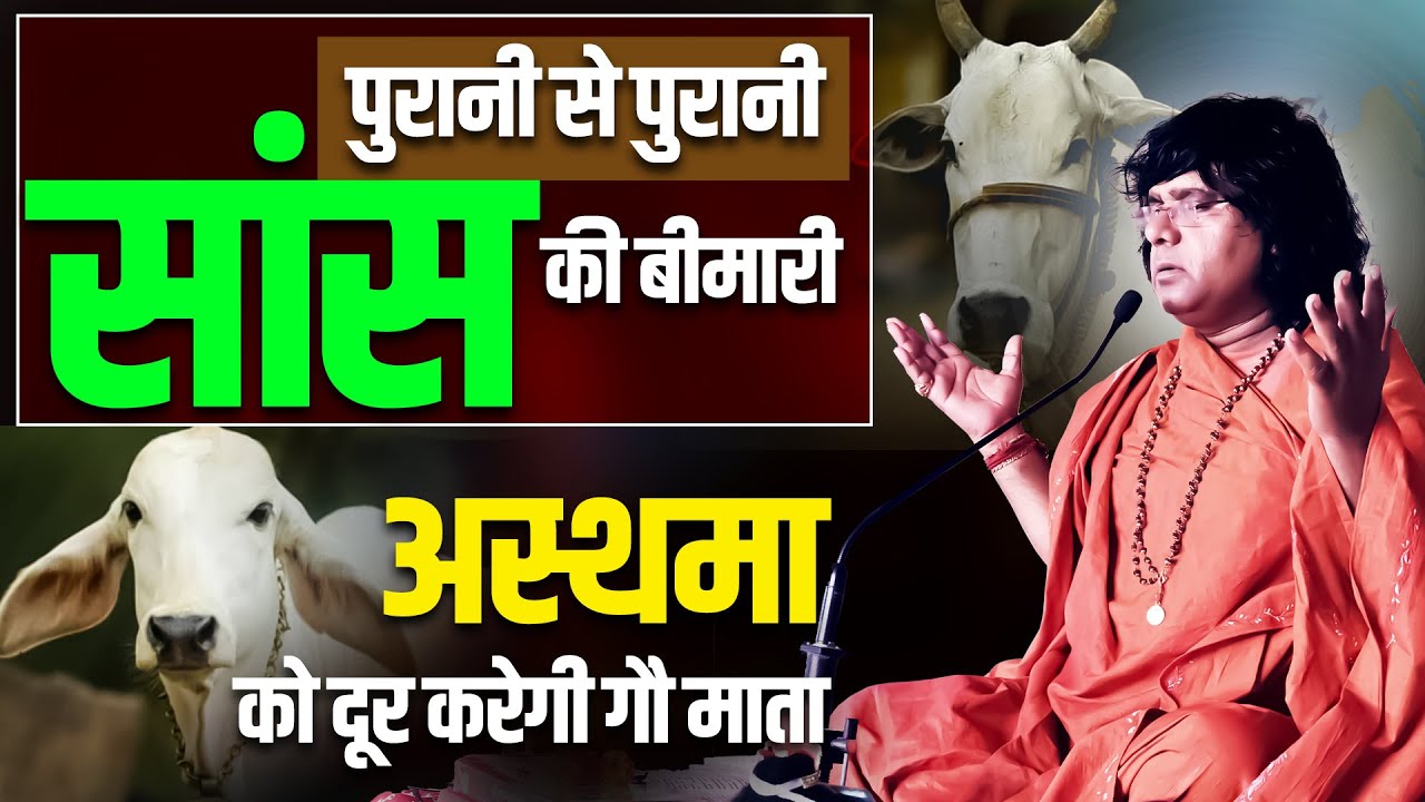 पुरानी से पुरानी सांस की बीमारी, अस्थमा को दूर करेगी गौ माता || Acharya Shri Kaushik Ji Maharaj