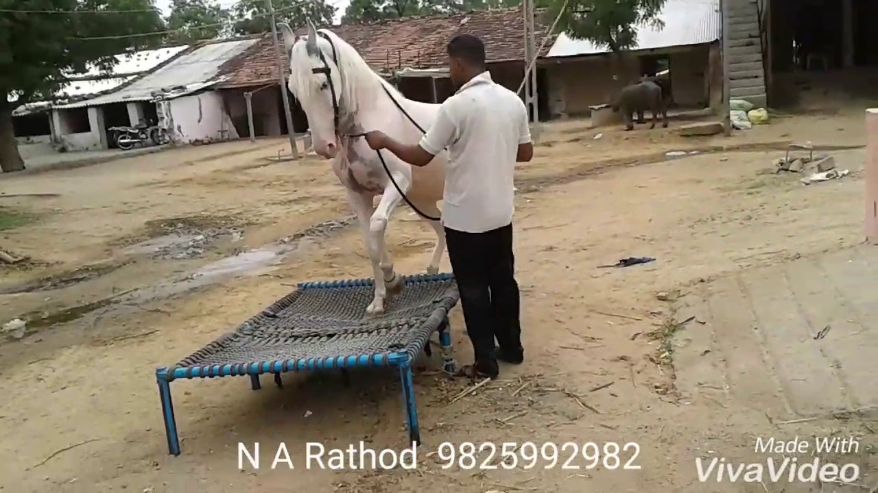 N R Rathod N A Rathod 9825992982 - YouTube