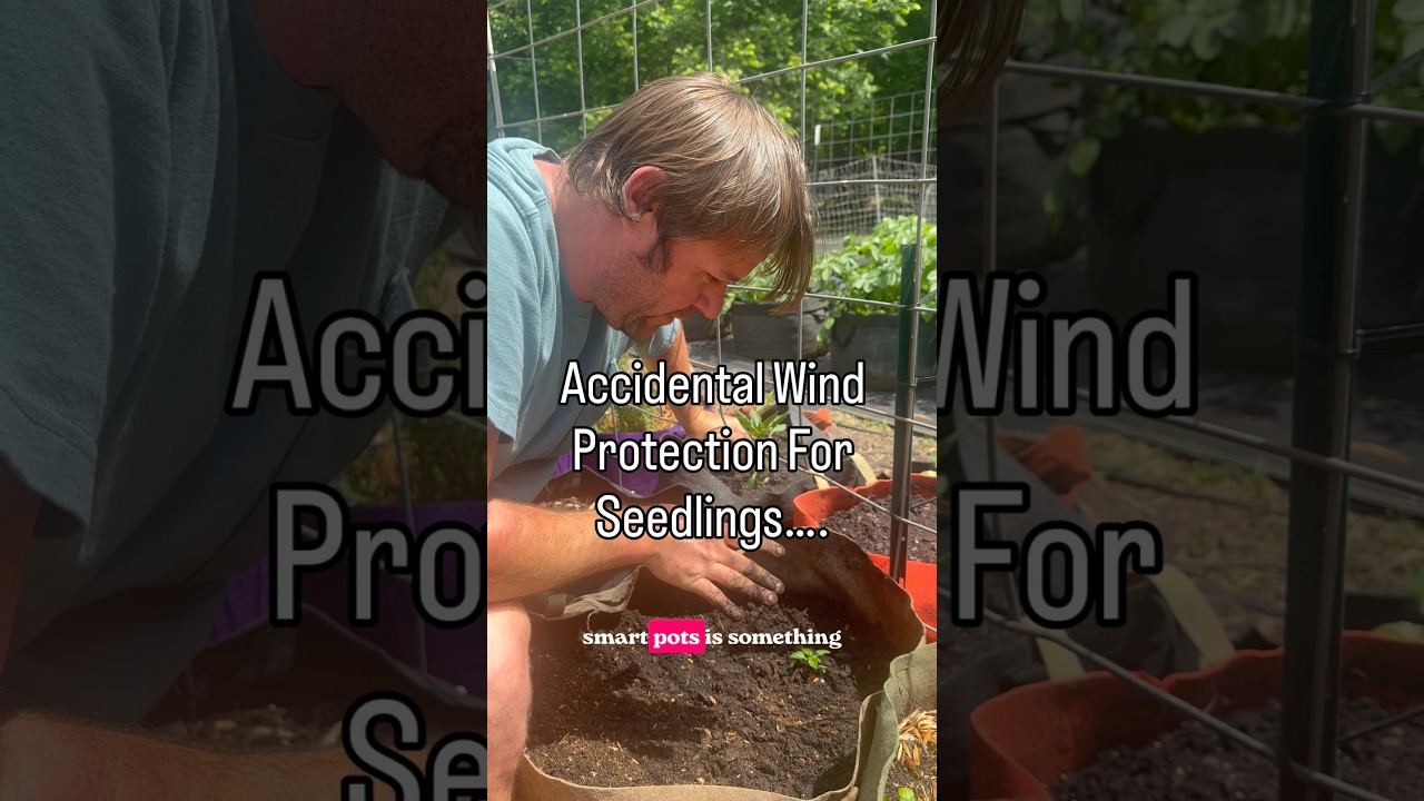 Uploads from From Seed to Spoon Garden Planning App