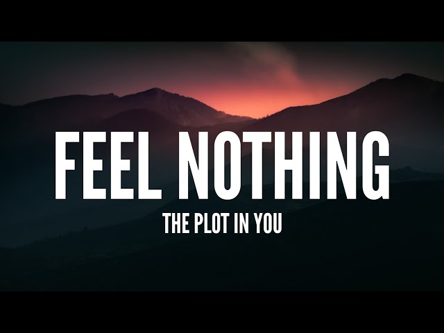 The Plot In You / Feel Nothing (Lyrics)