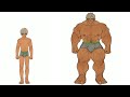 Marototori getting higher and bigger - Muscle growth animation