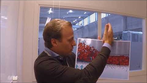 Brief Introduction to IQF: Episode 1 - Fluidization