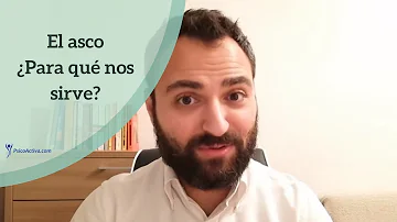 ¿Cómo afecta el asco al cerebro?