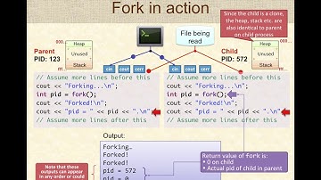 Fork and Exec in Linux