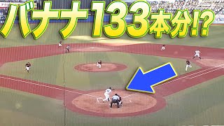 【好守】E内田『バナナ133本分の猛チャージ』(標準バナナ15センチ、チャージ20m)