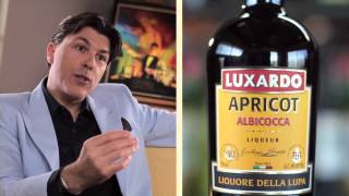 Luxardo Liqueurs - More Than Maraschino Episode 5 Lady Whisper Cocktail