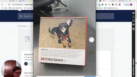 iOS Snap&Read Comprehensive Overview
