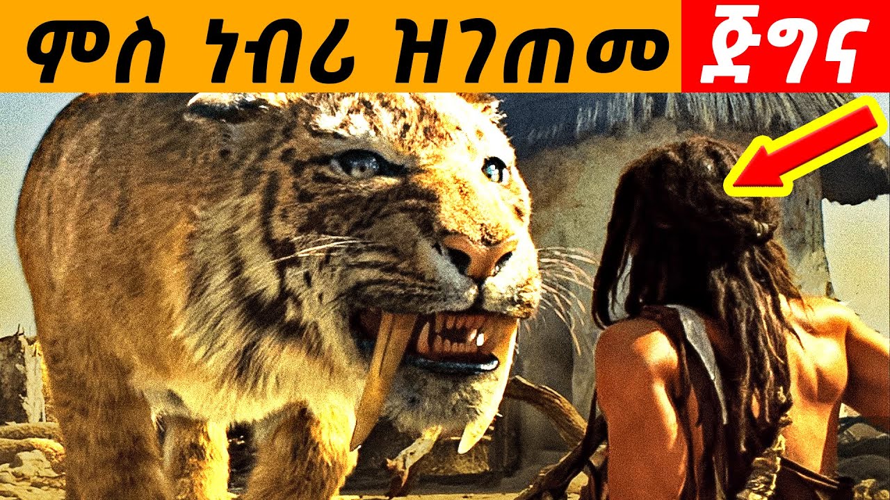 ሓያል ነብሪ ምስረኸቦ ዘይተፀበናዮ ነገር ዝገበረ ጅግና