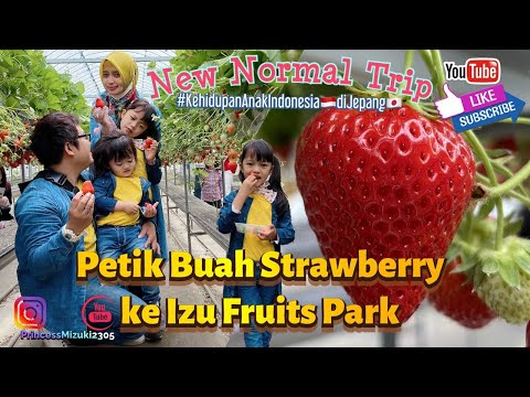 Video: Komposisi Kimia Penuh Strawberi