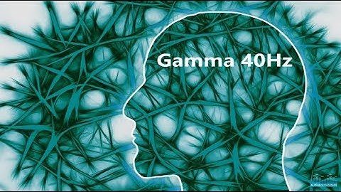40 Hz Gamma   Pure Tone Binaural Beat   Brains Operating System