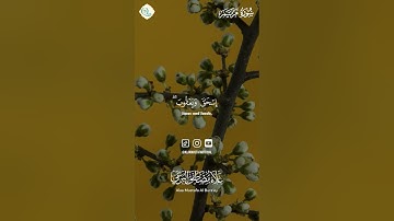 تلاوة مؤثرة من القرآن الكريم | راحة للقلب وطمأنينة للنفس ✨