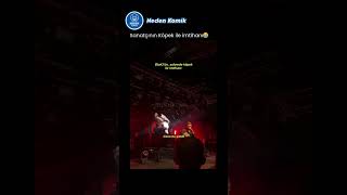 Köpek Sahnenin Yıldızı Oldu