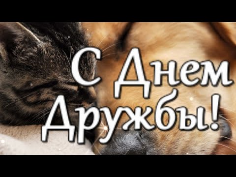 С Днем дружбы! Поздравление С Днем дружбы Открытка День дружбы