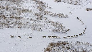 Бурилар Тудаси Сири