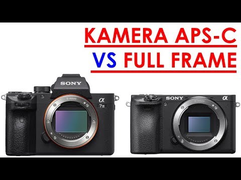 Video: Apa manfaat dari kamera full frame?