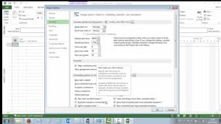 MS Project 2013 - Setting Up a MS Project File
