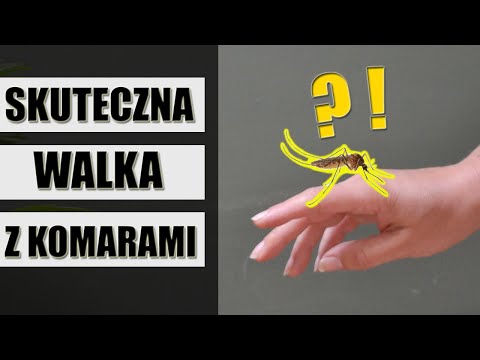 Wideo: 3 sposoby na złapanie komara