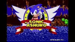 Sonic & Ashuro (SHC 2016 Version) OST - Act Clear (Ashuro Version)