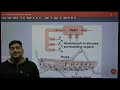 BODY FLUID AND CIRCULATION | PART 01 |BY DR KARAN VARDHANI | CLASS 11TH