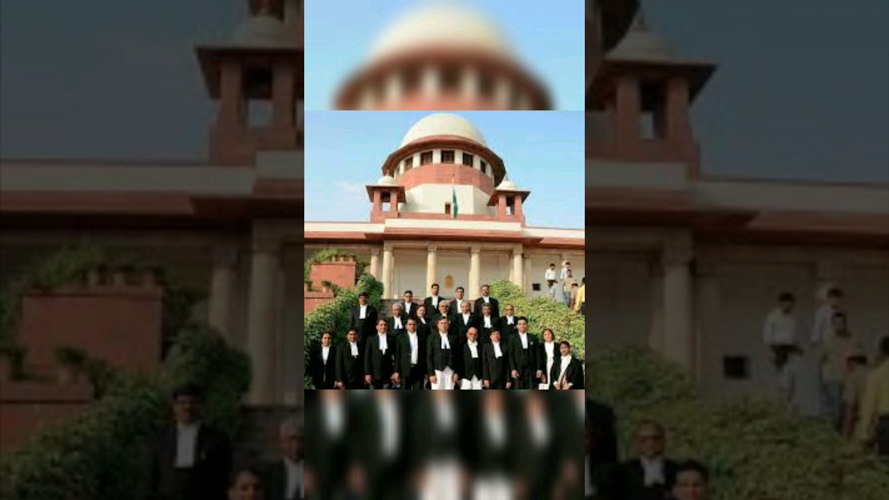 Lawyer And Advocate Difference Lawyer Advocate YoursRS Rahul