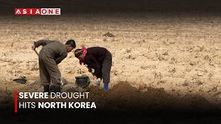 North Korea Faces Severe Drought Raising Food Security Concerns | Asia One News