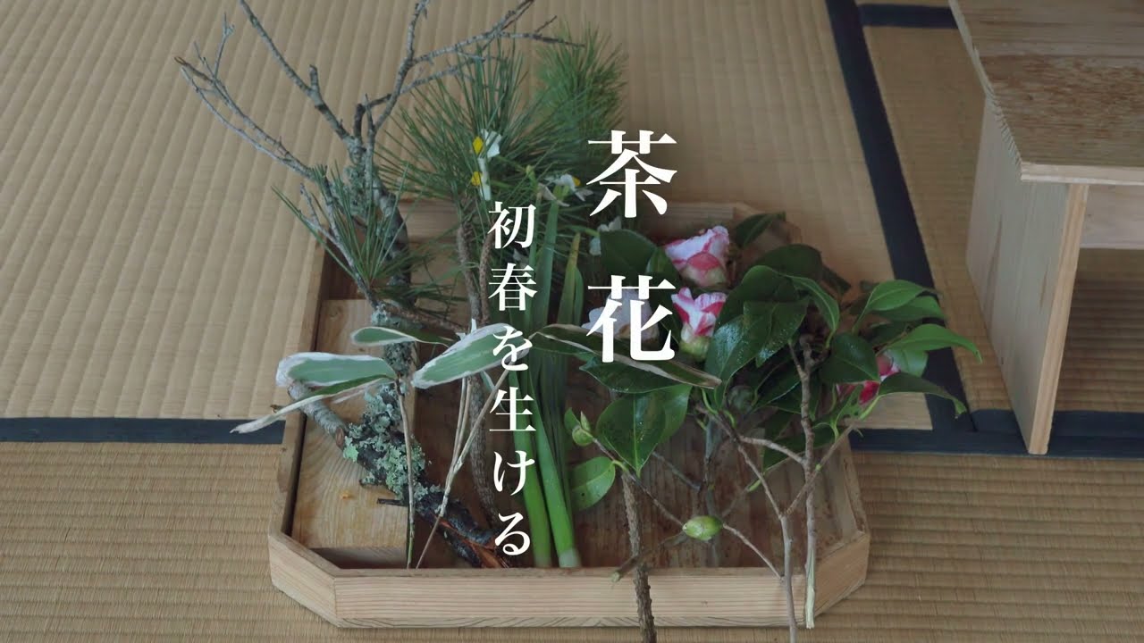 茶花 Vol.2 初春を生ける