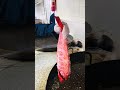 Big fish oil fried amazing🥰seafood🥰 #viralvideo #foryou #cute #cuking #highlights