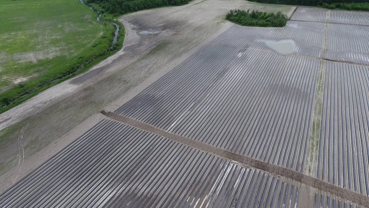 ZVR03 28 05 19 - YouTube