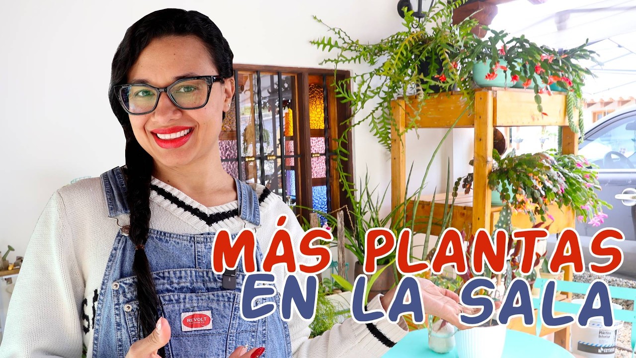 Más plantas en la entrada de la casa │Candy Bu
