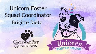 Key Volunteer Roles: Unicorn Foster Squad Coordinator