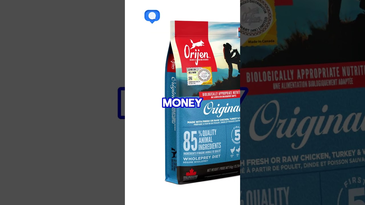 Top 5 Best healthy dog food brands in 2025