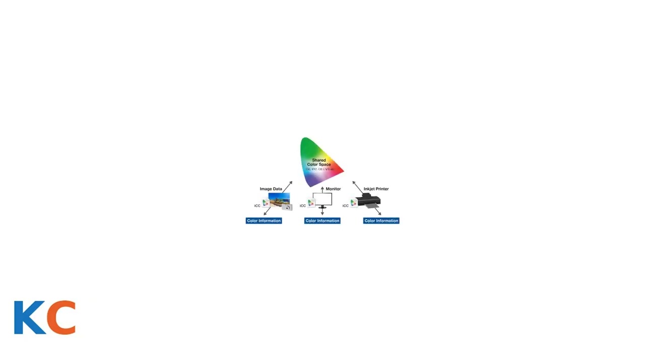 Как исправить проблемы с цветопередачей монитора ViewSonic — sRGB/DCI-P3, гамма и профиль ICC