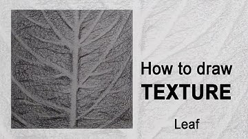 How to draw Texture | Leaf | Pencil Sketch