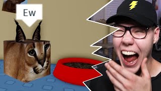 Reacting to Roblox Raise A Floppa Funny Moments Videos & Memes