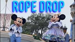 ROPE DROP: FOGGY MAGIC KINGDOM AND EPCOT - 2.19.26