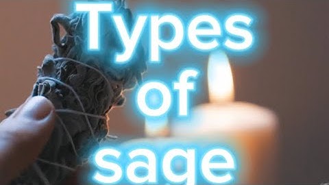Types of Sage ✨🌱 (part 1)