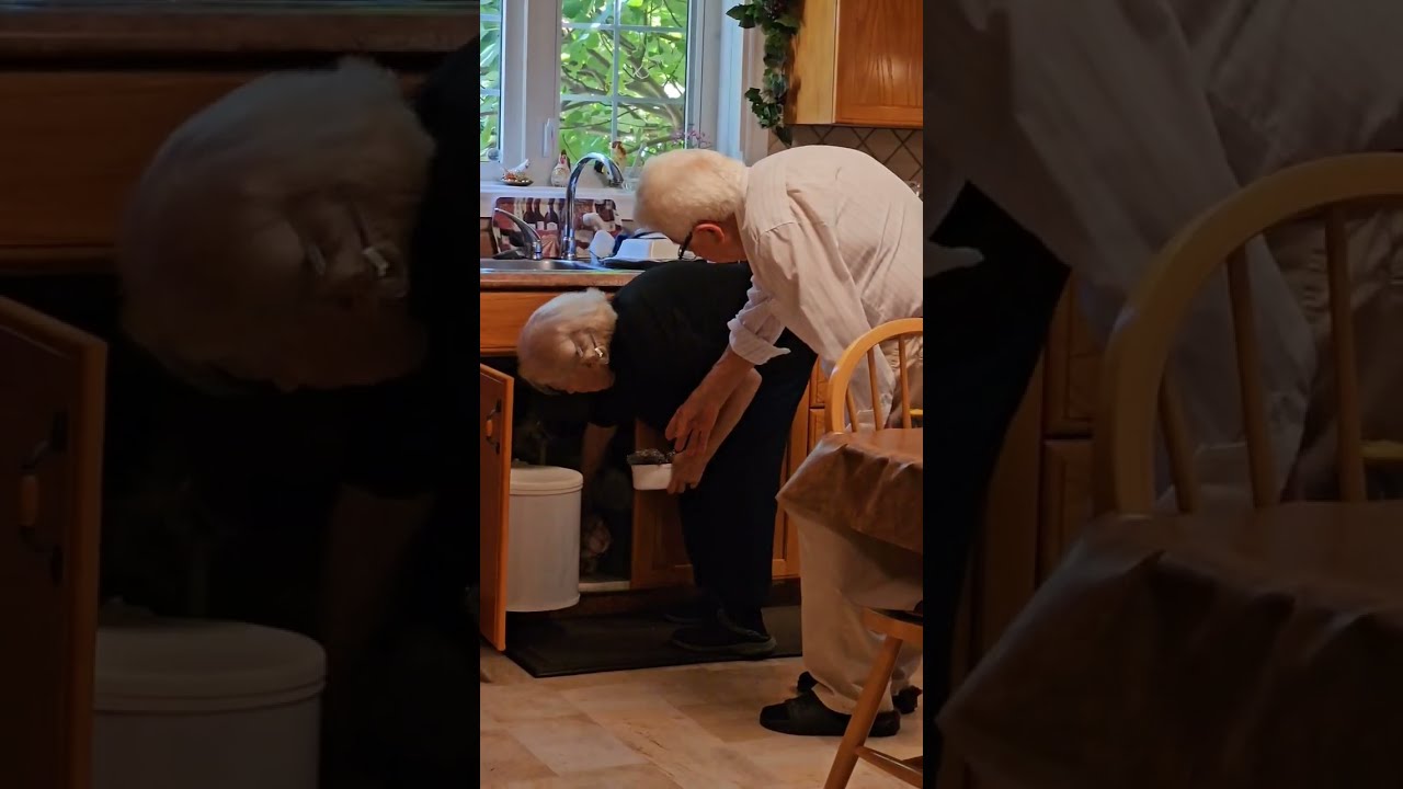 80 Year Old Couple Bantering Again 